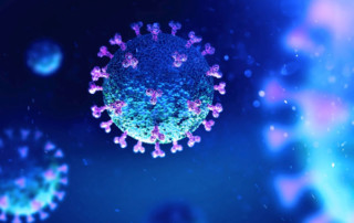 Digital image of a virus cell